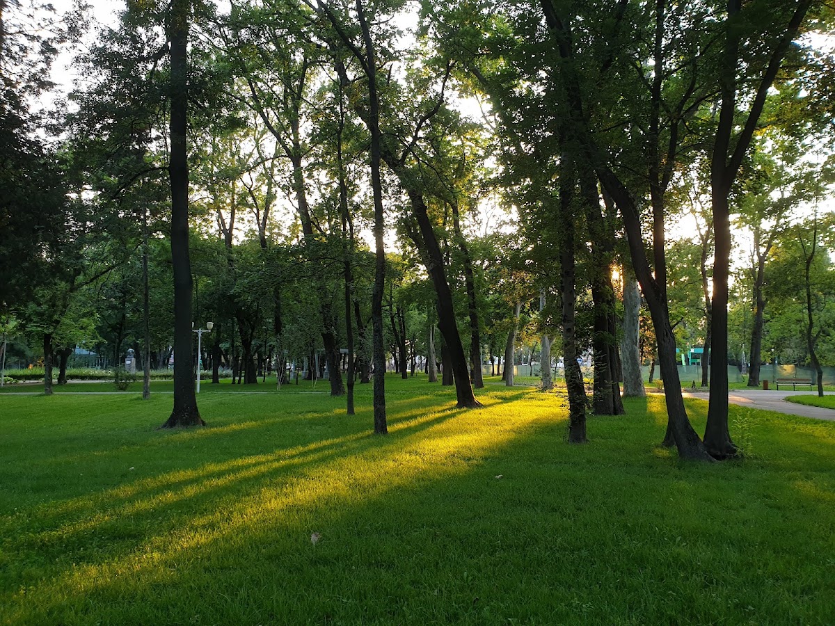 Foto von Parcul Central "Anton von Scudier"