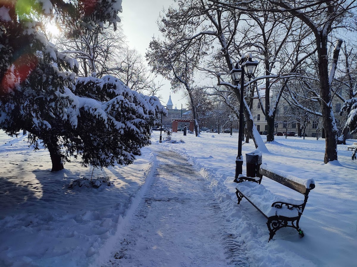 Foto von Parcul Civic