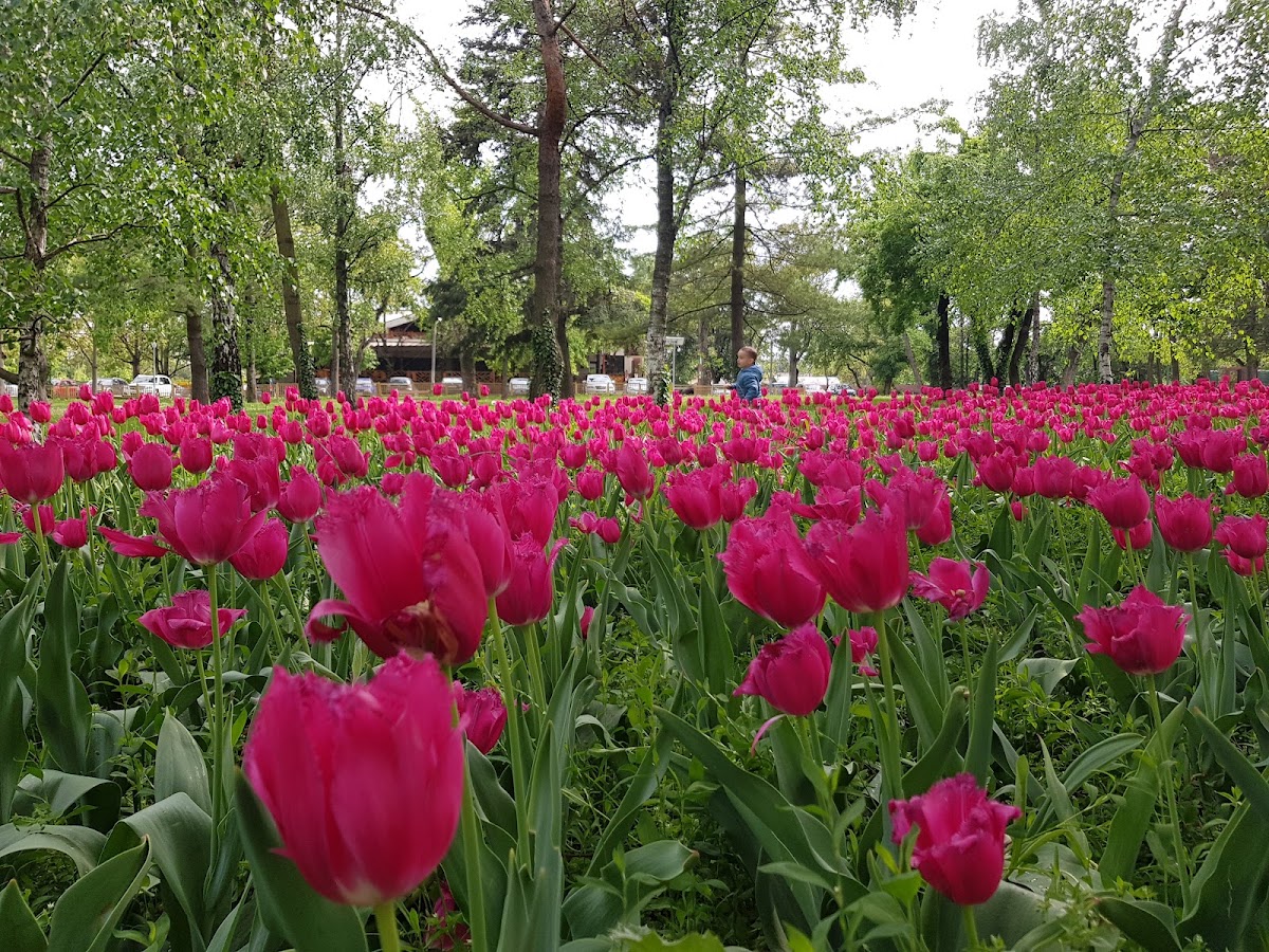 Foto von Parcul Justiției