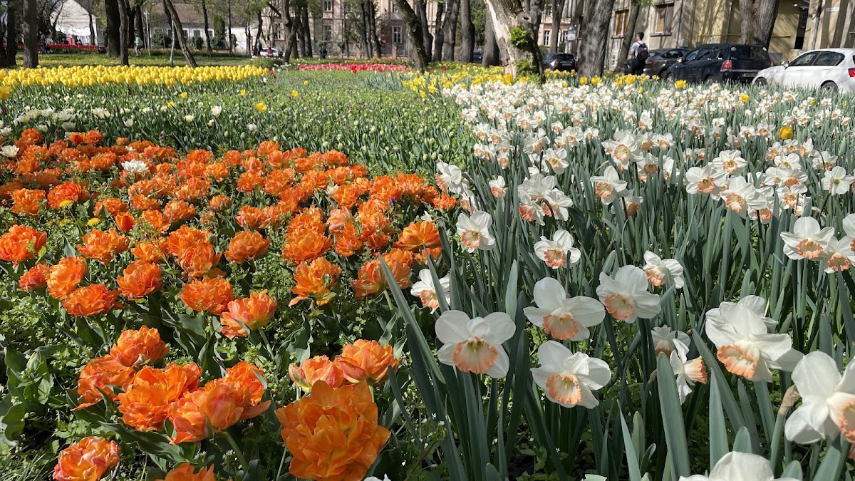 Foto von Parcul Justiției