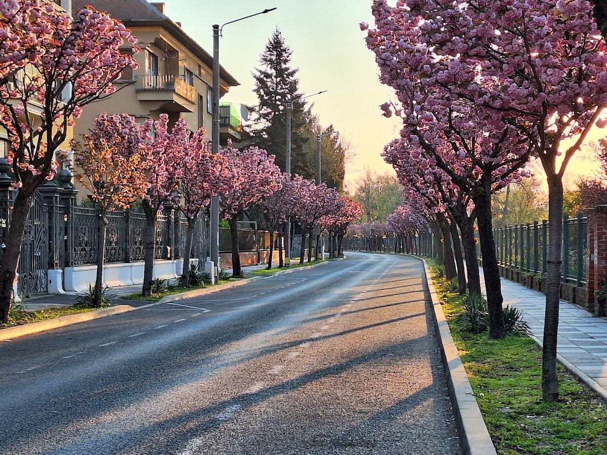 Foto von Parcul Justiției