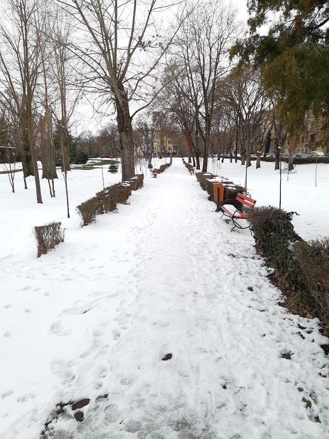 Photo of Parcul Andrei Mocioni