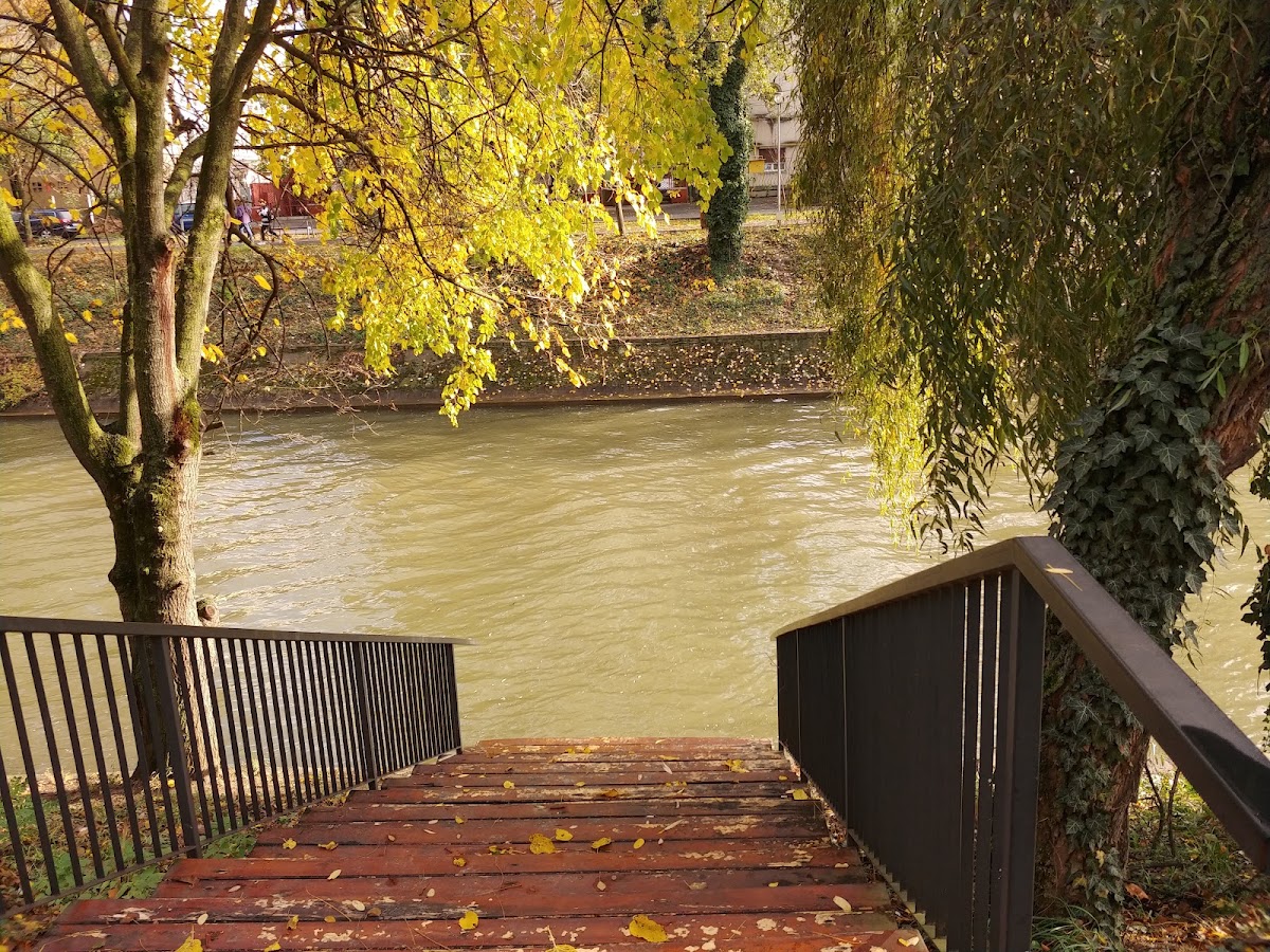 Photo of Parcul Andrei Mocioni