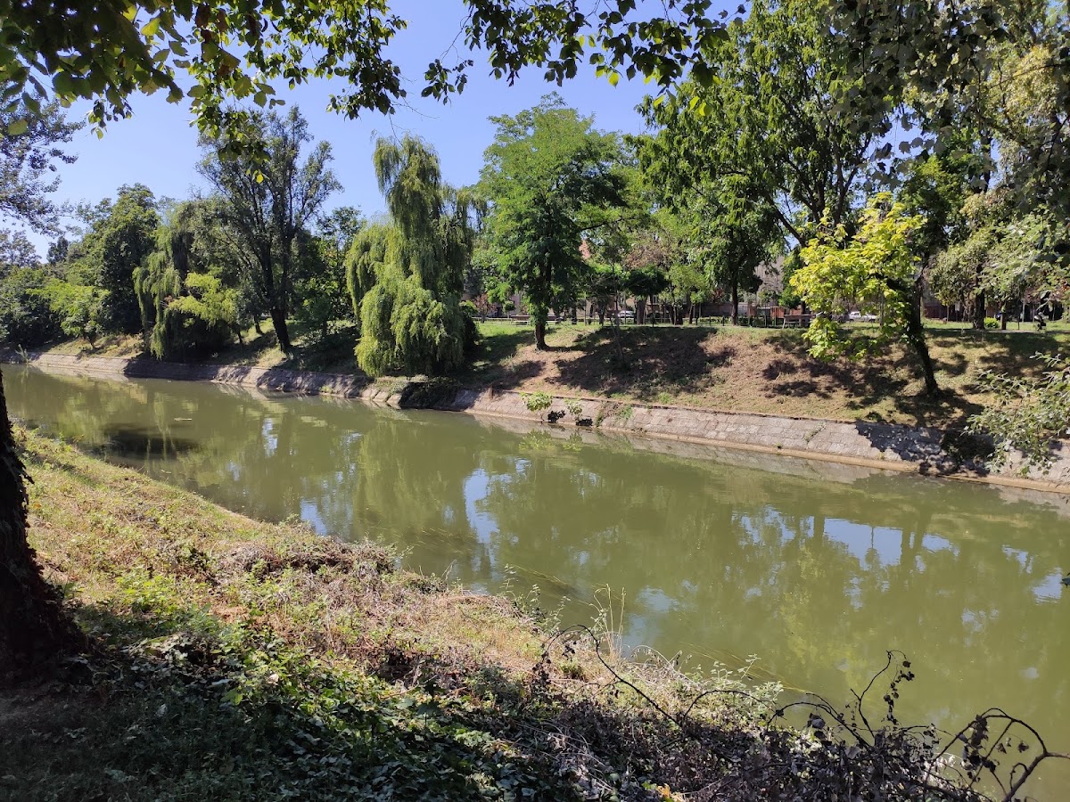 Photo of Parcul Andrei Mocioni
