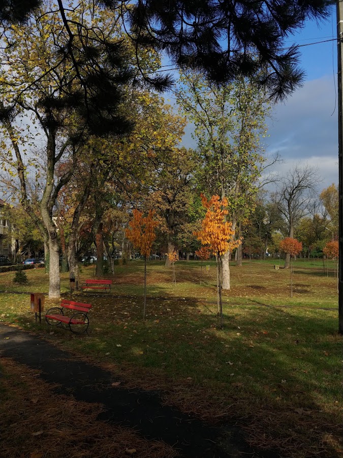 Photo of Parcul Andrei Mocioni