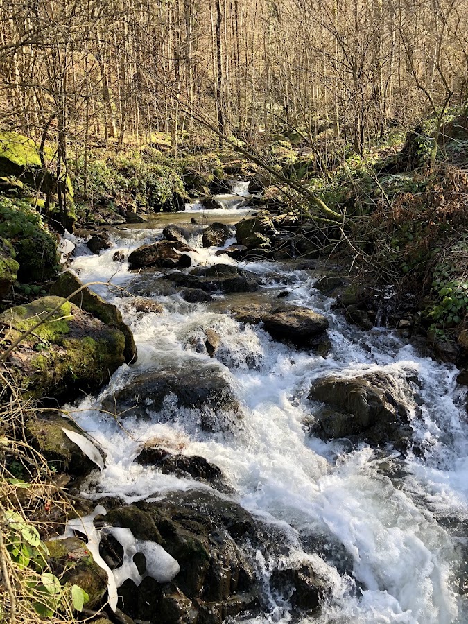 Fotografie de Cascada Şopot