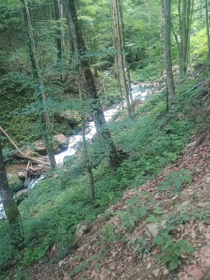 Fotografie de Cascada Şopot
