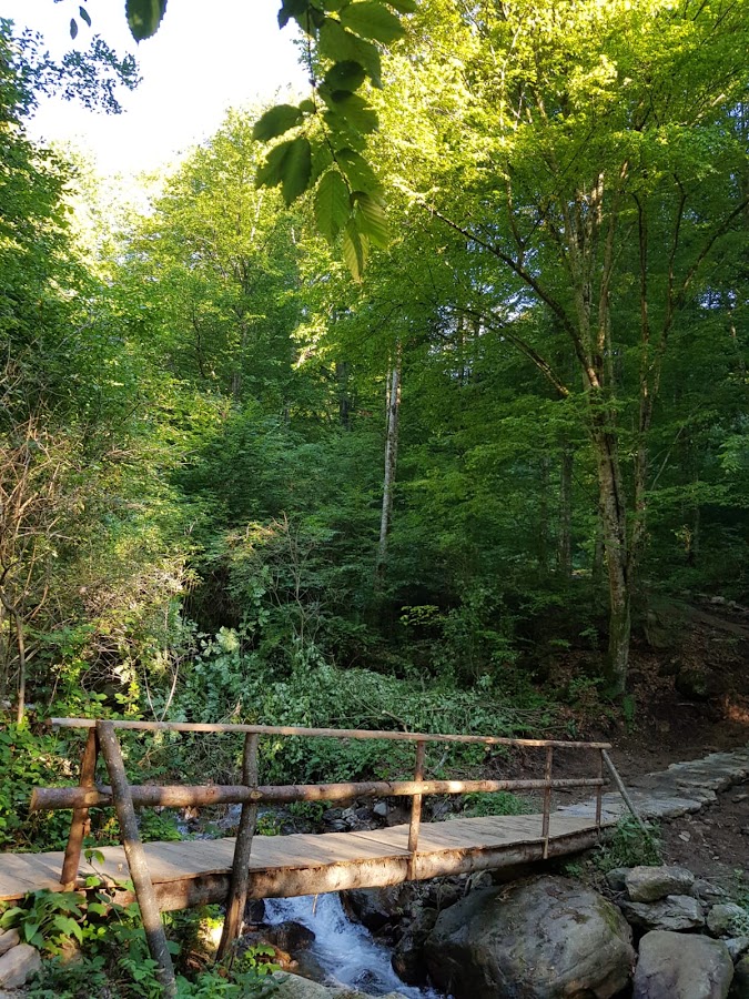 Fotografie de Cascada Şopot