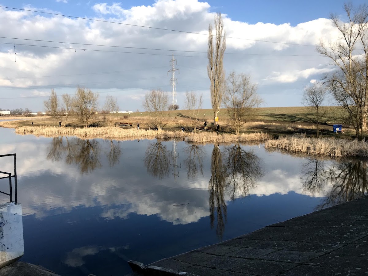 Foto von Pădurea Verde