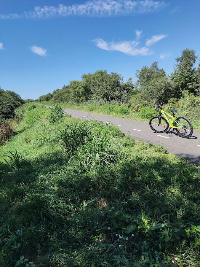 Foto des Fahrradwegs Km 24