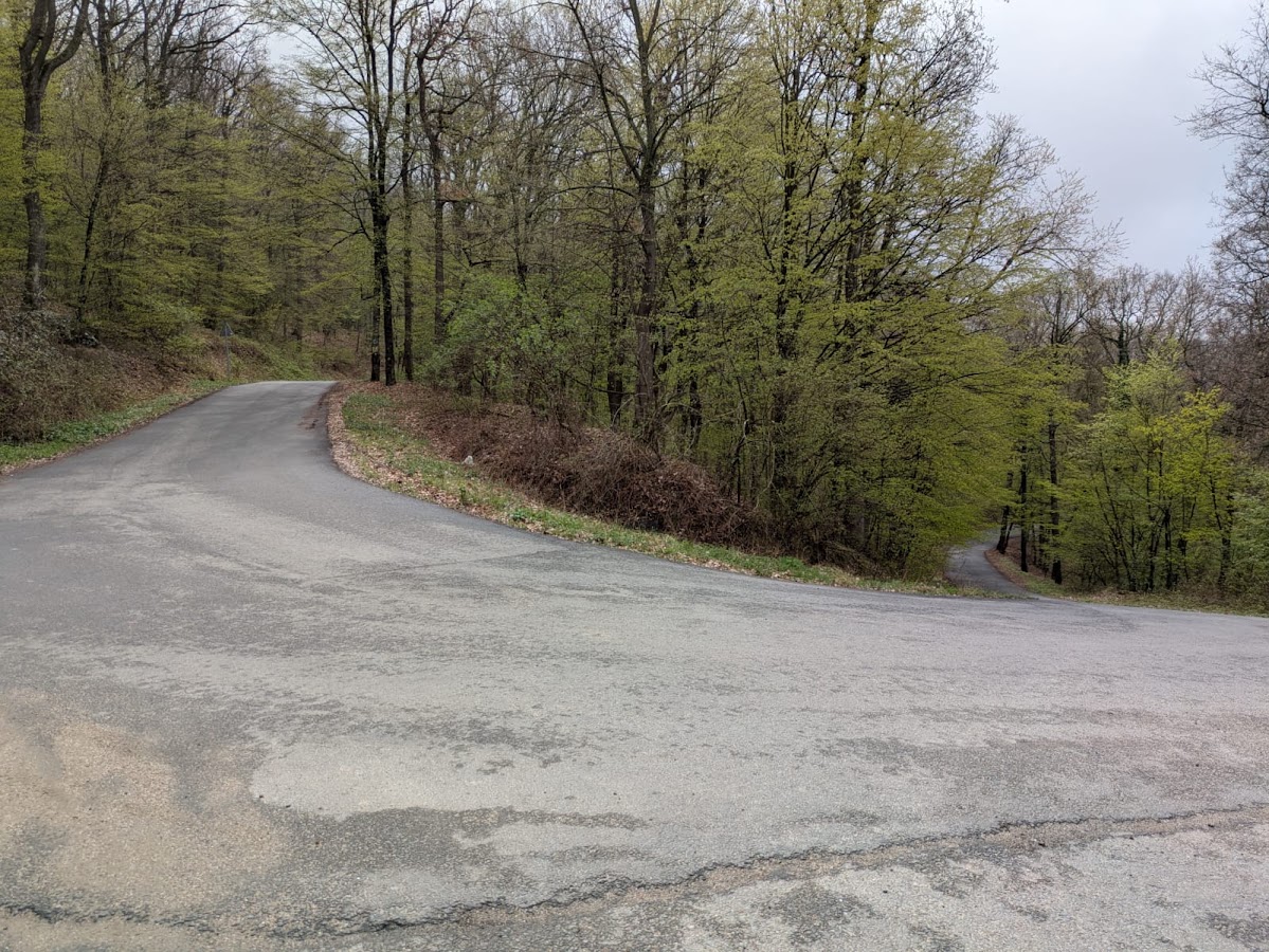 Foto von Saua Cazan