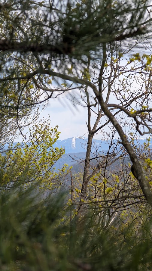 Foto von La Arșiță
