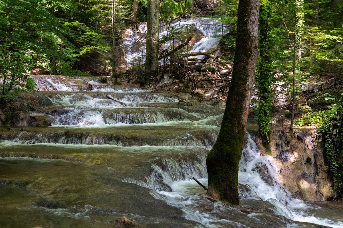 Foto di Ochiul Beiului