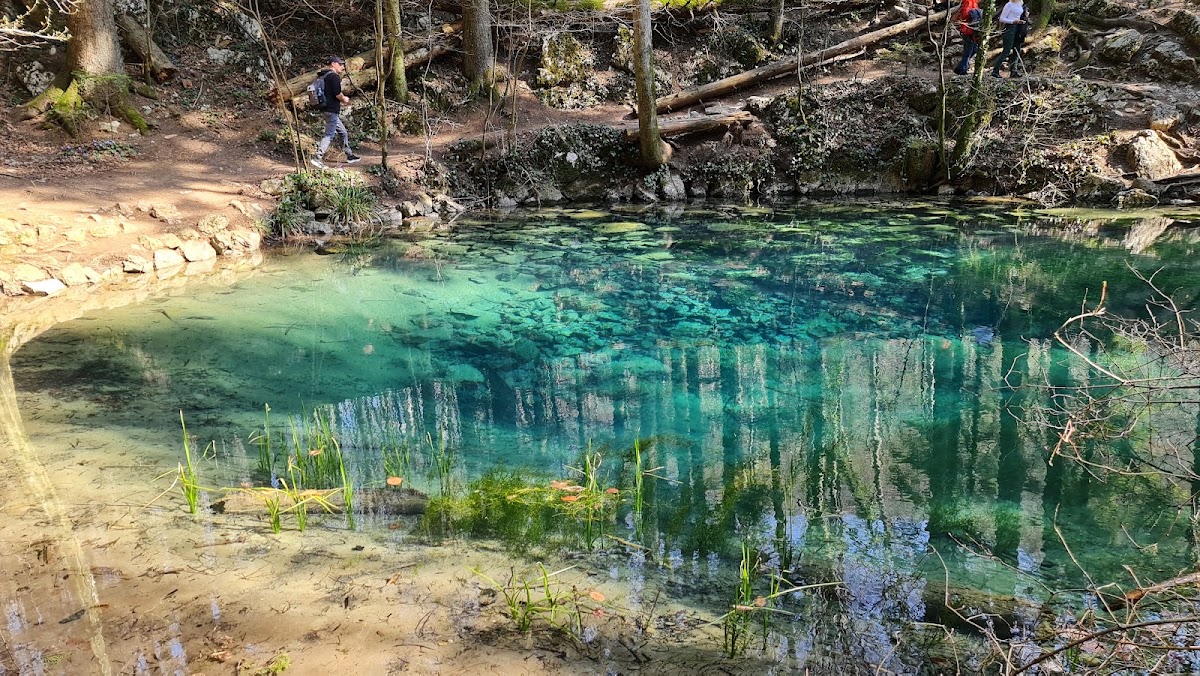 Foto di Ochiul Beiului
