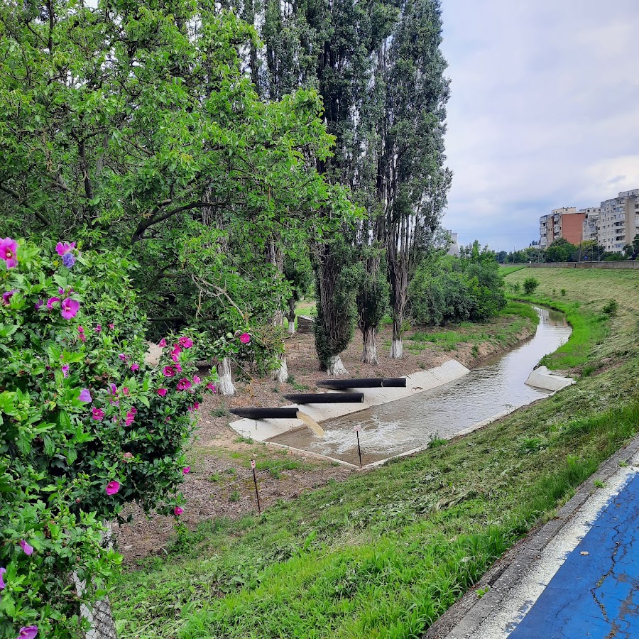 Fotografie de Faleza Mureș - Micalaca