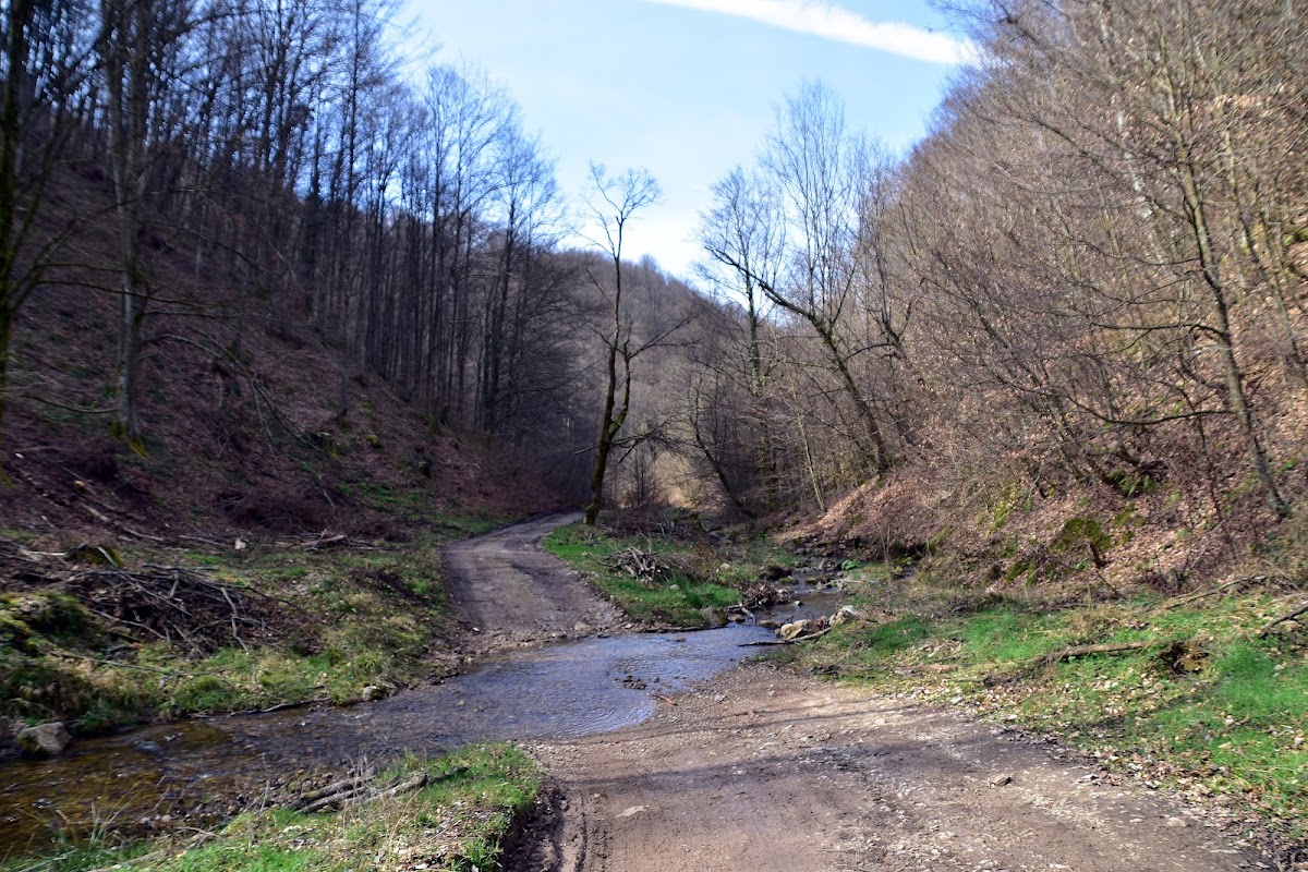 Photo of Valea Baleasca