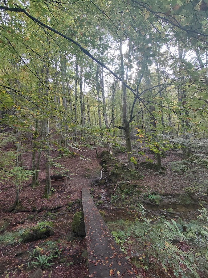 Photo of Valea Baleasca