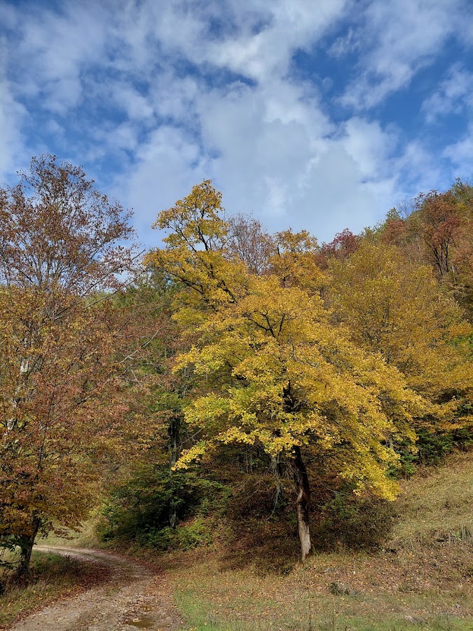 Photo of Valea Baleasca
