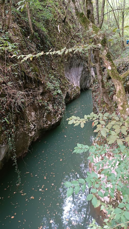 Foto von Cheile Carașului
