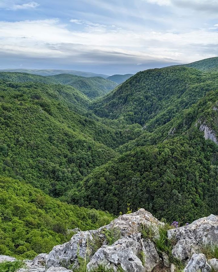 Foto von Cheile Carașului