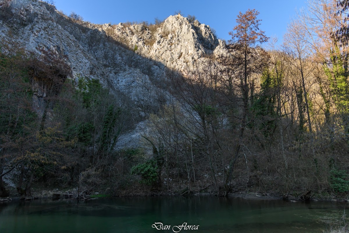 Foto von Cheile Carașului