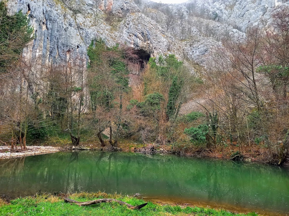 Foto von Cheile Carașului