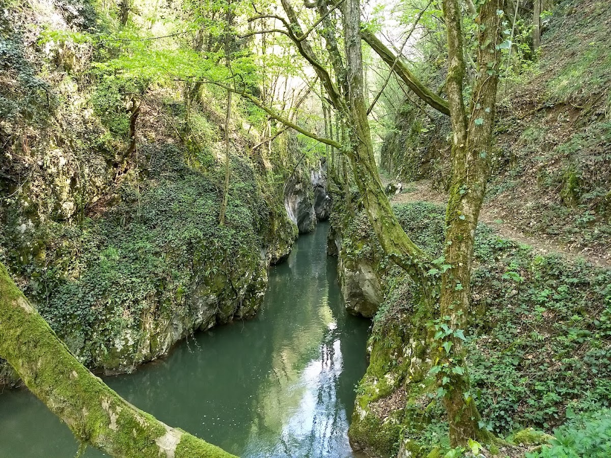 Foto von Cheile Carașului