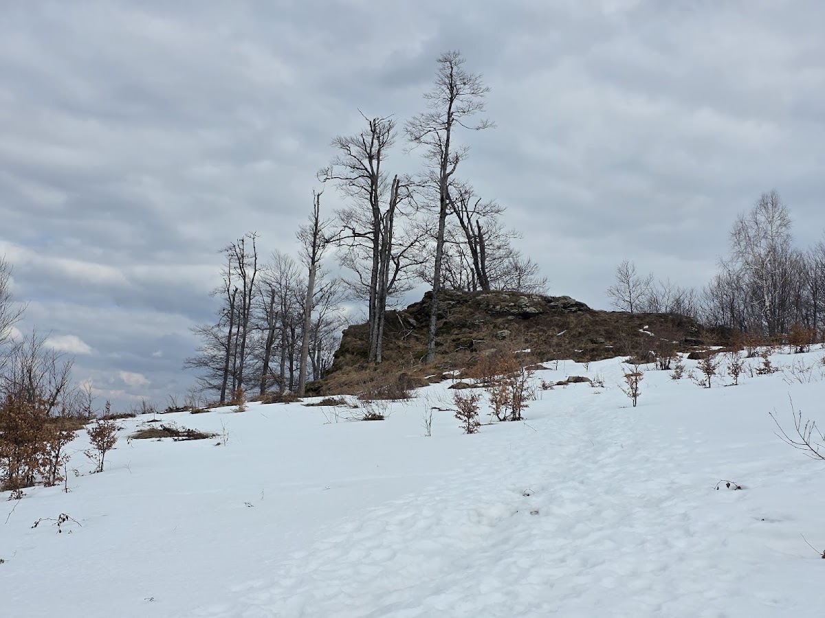 Photo of Piatra Kukuului