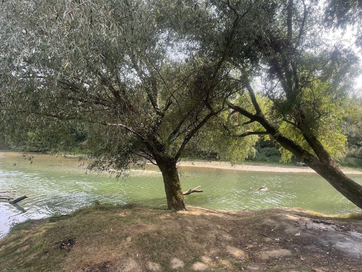 Foto di Plaja „Hiberlon”