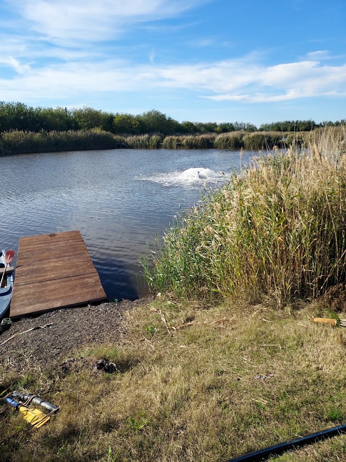 Fotografie de Strand Carpinis