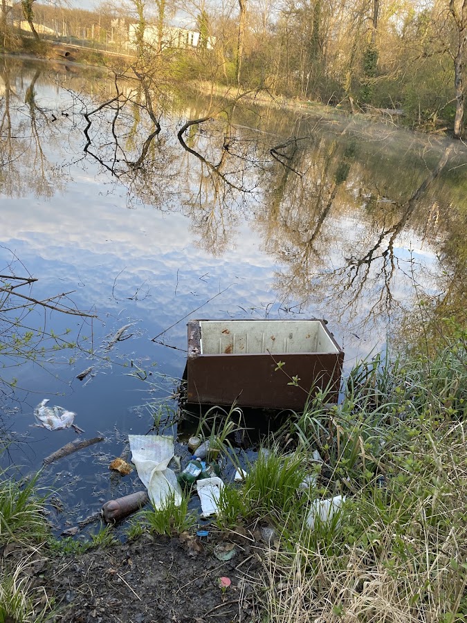 Fotografie de Balta Măcin