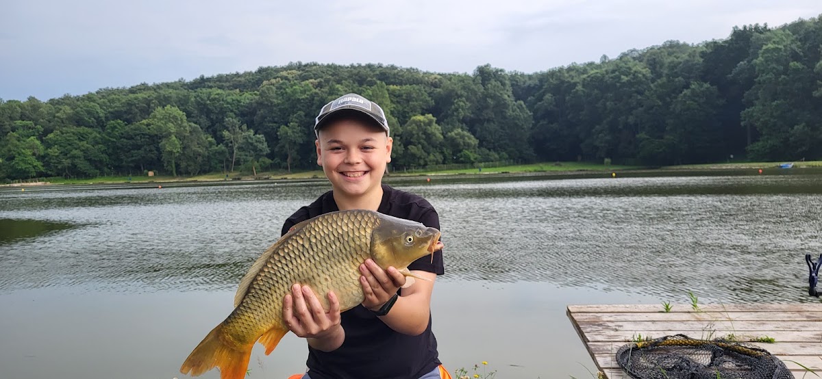 Foto von Nec Carp Lake
