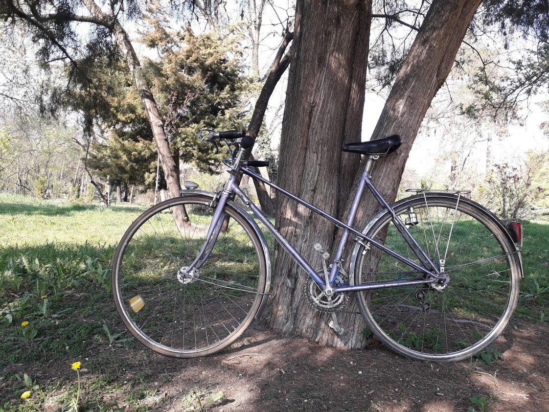 Foto von Rent a bike TM, inchirieri biciclete