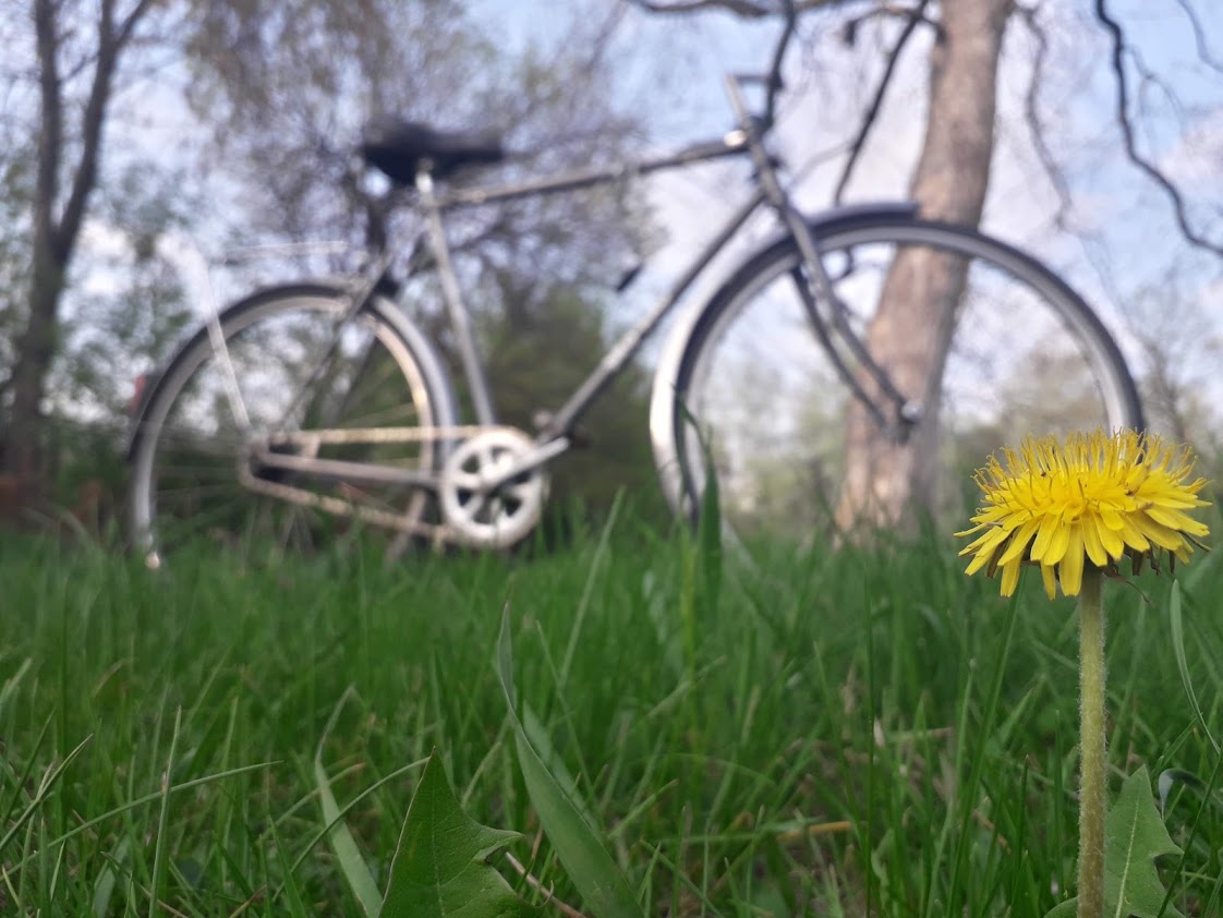 Foto von Rent a bike TM, inchirieri biciclete