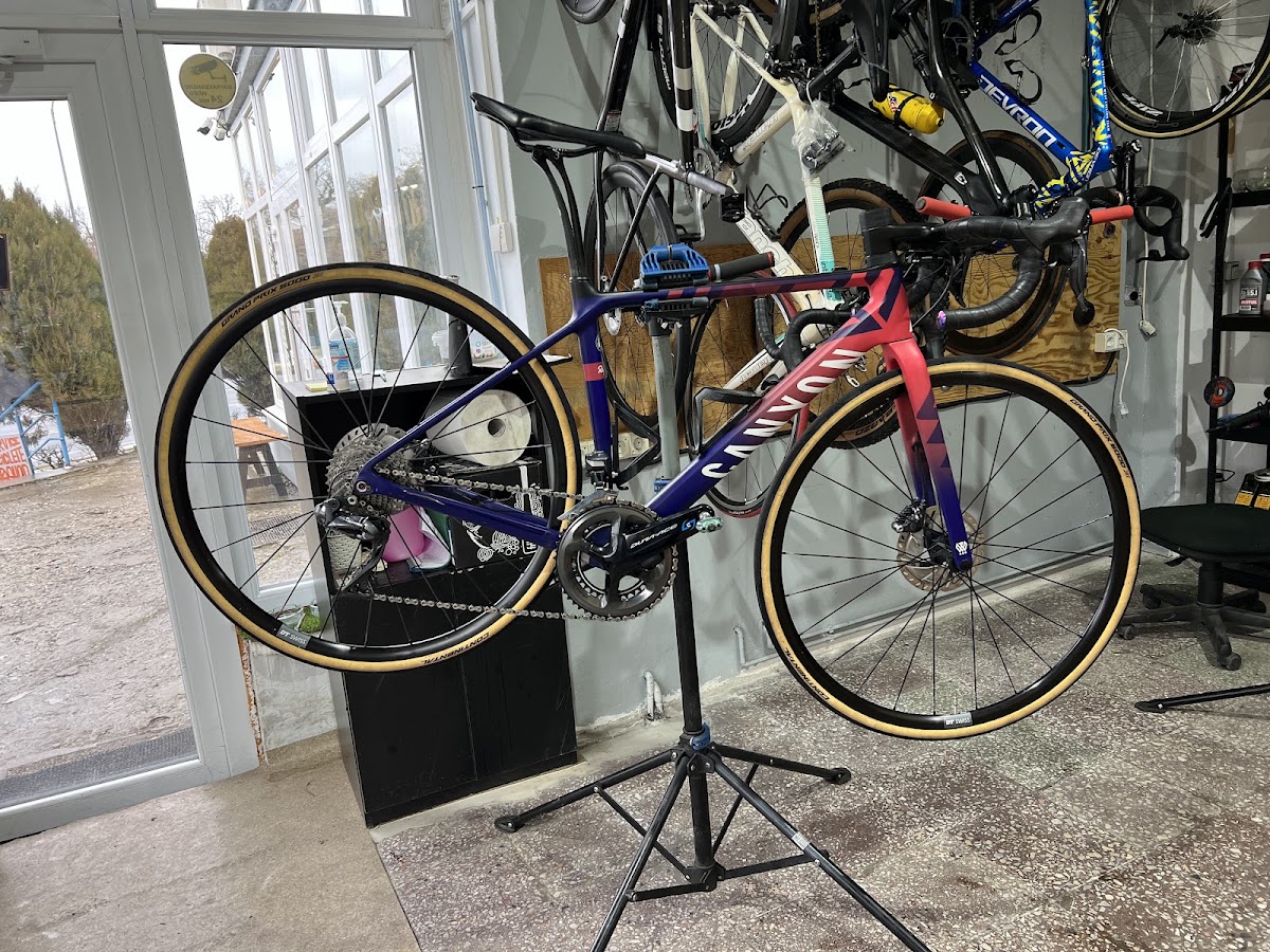 Foto di Domestique Cycling