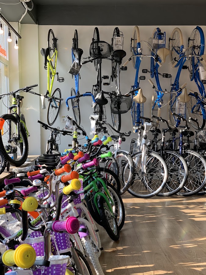 Foto di Domestique Cycling