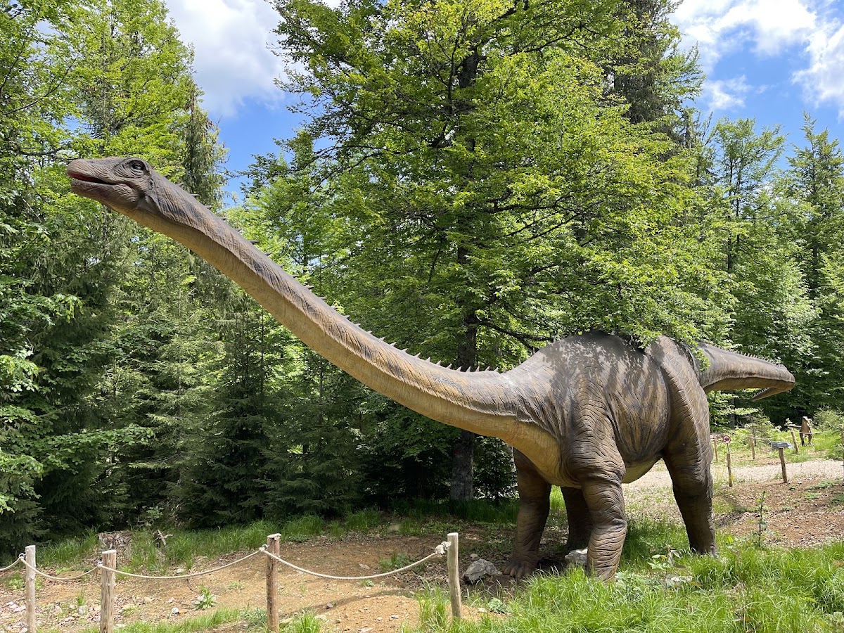 Photo of Happy Land Adventure Park