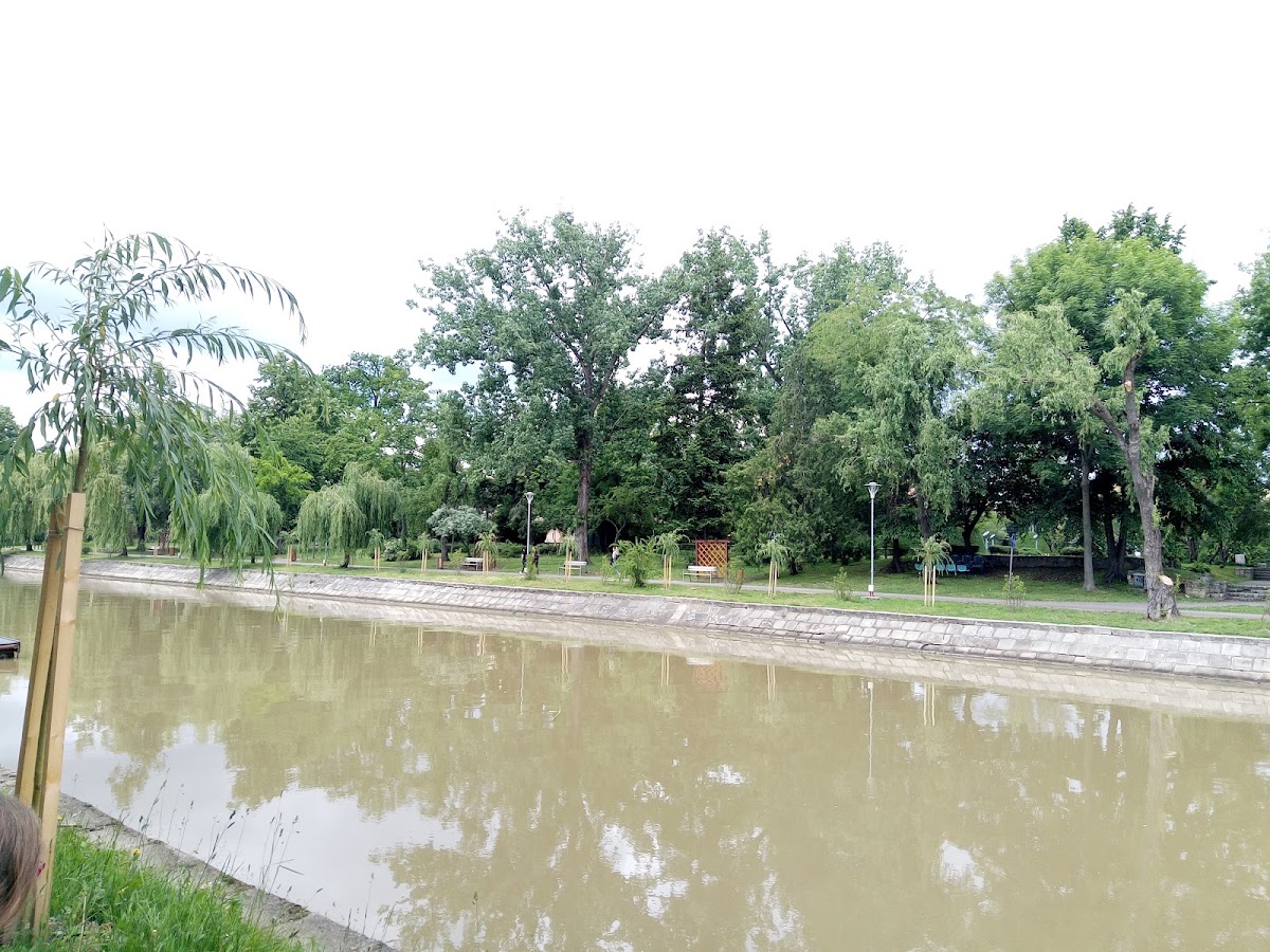 Photo of Parc cu Tiroliane