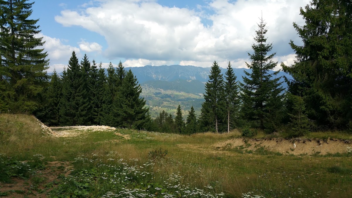 Photo of Adventure Park