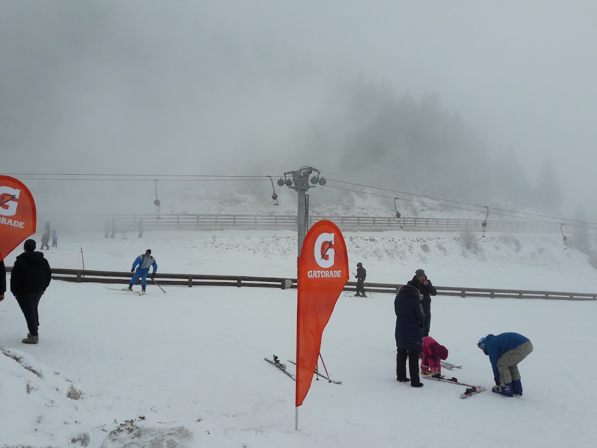 Photo of Adventure Park