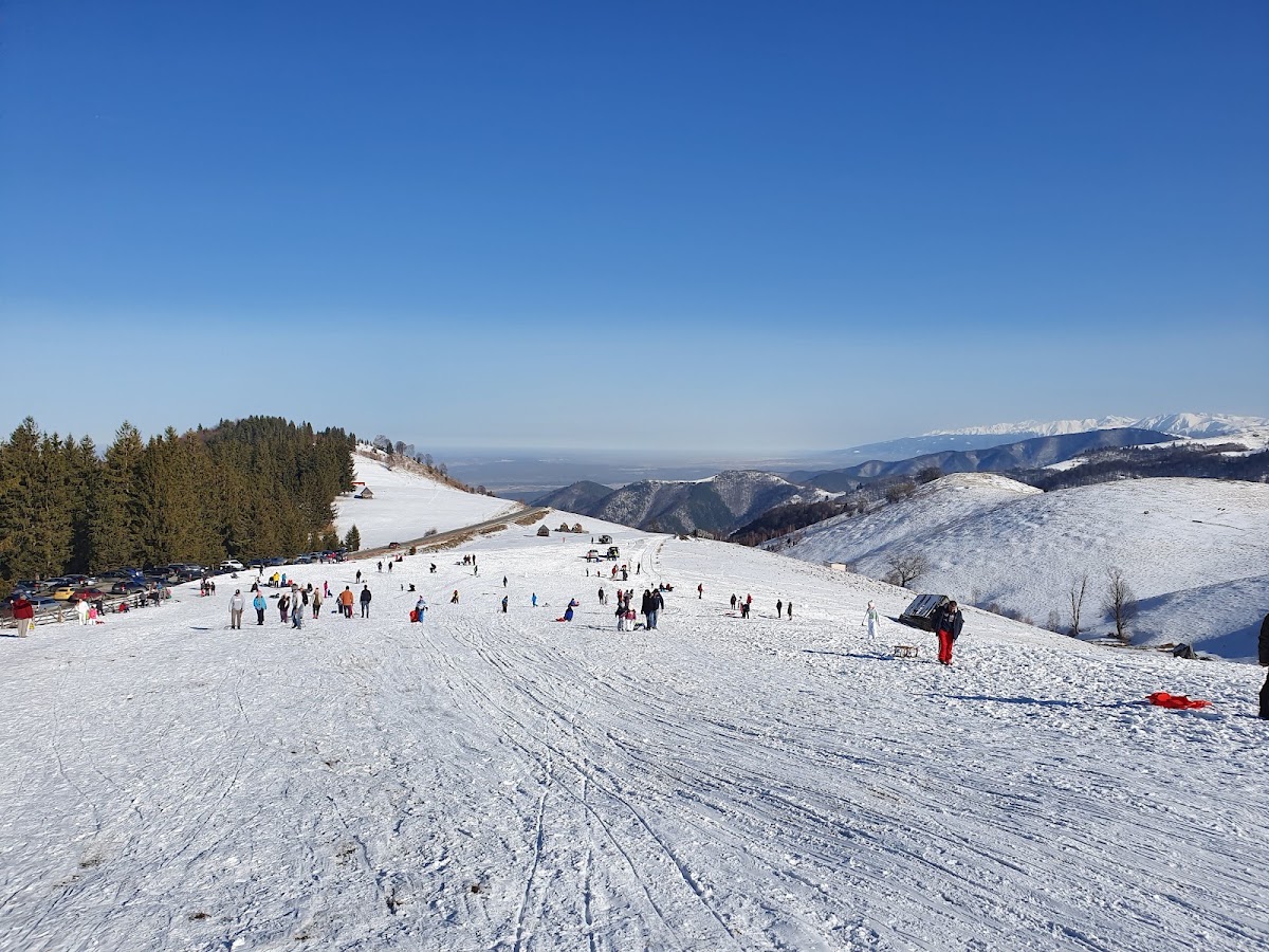 Photo de Arka Park Păltiniș