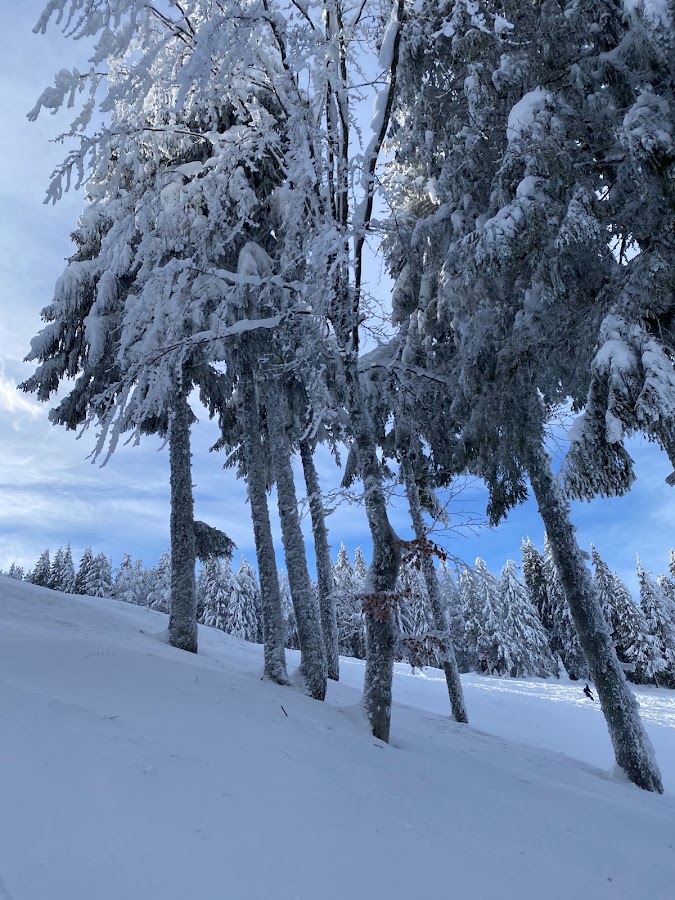 Foto von Vârtop Ski Slope