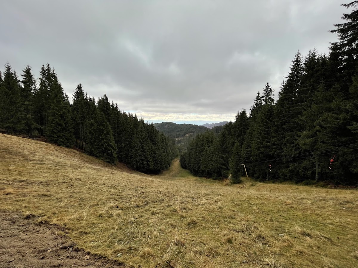 Foto von Muntele Băișoara
