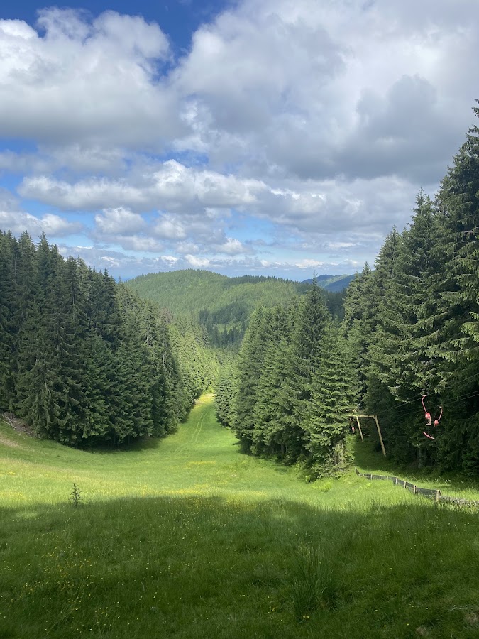Foto von Muntele Băișoara