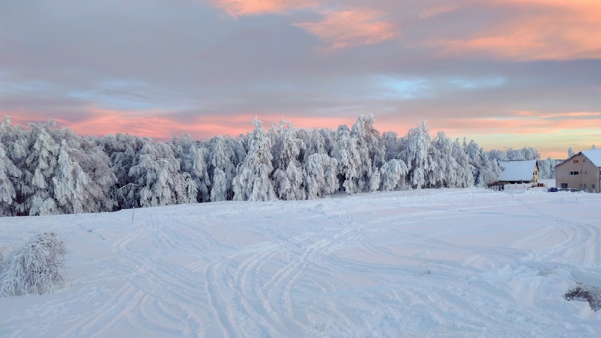 Foto von Semenic La Cornel