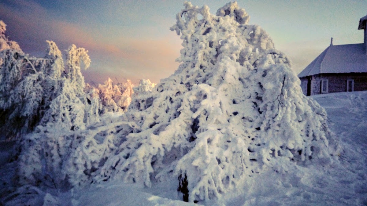 Foto von Semenic La Cornel