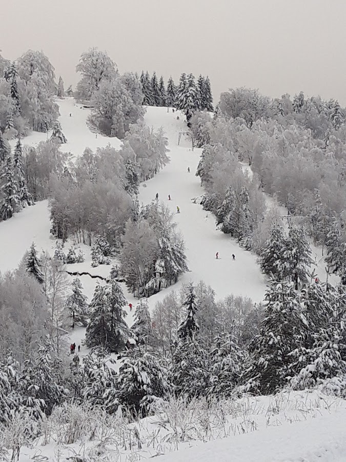 Photo de Wolfsberg Ski Garana