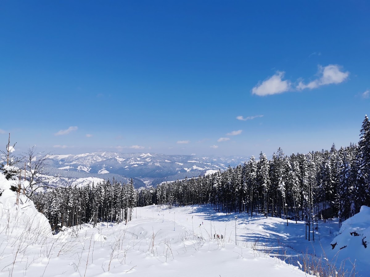 Foto von Rarău Resort