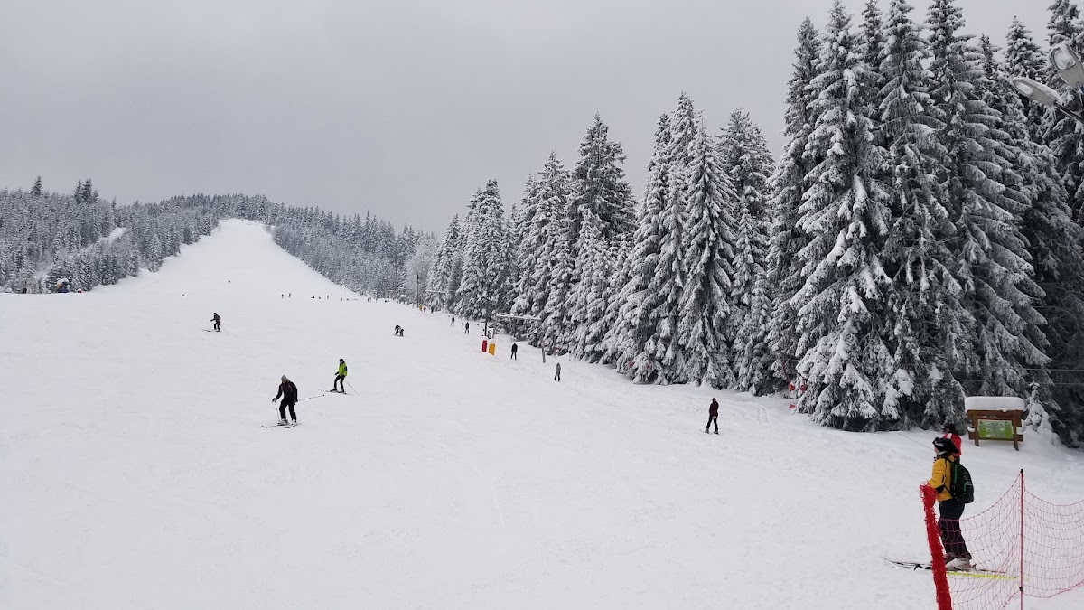 Fotografie de Pârtia de ski Râușor