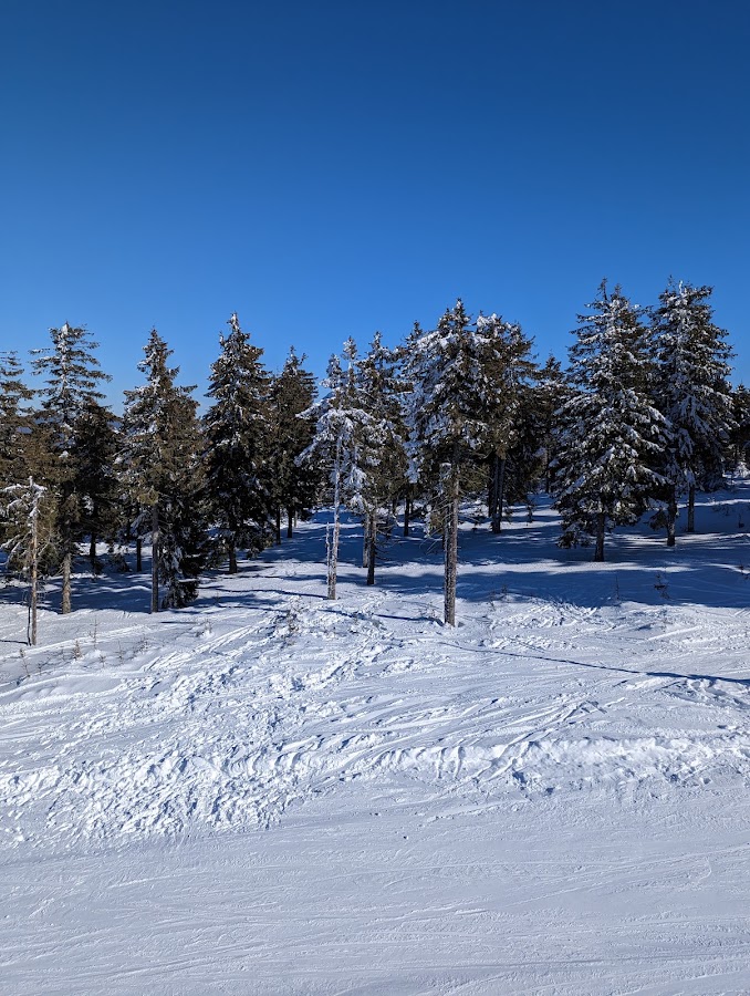 Foto von Telescaun Vartop- Partia „Piatra Graitoare”